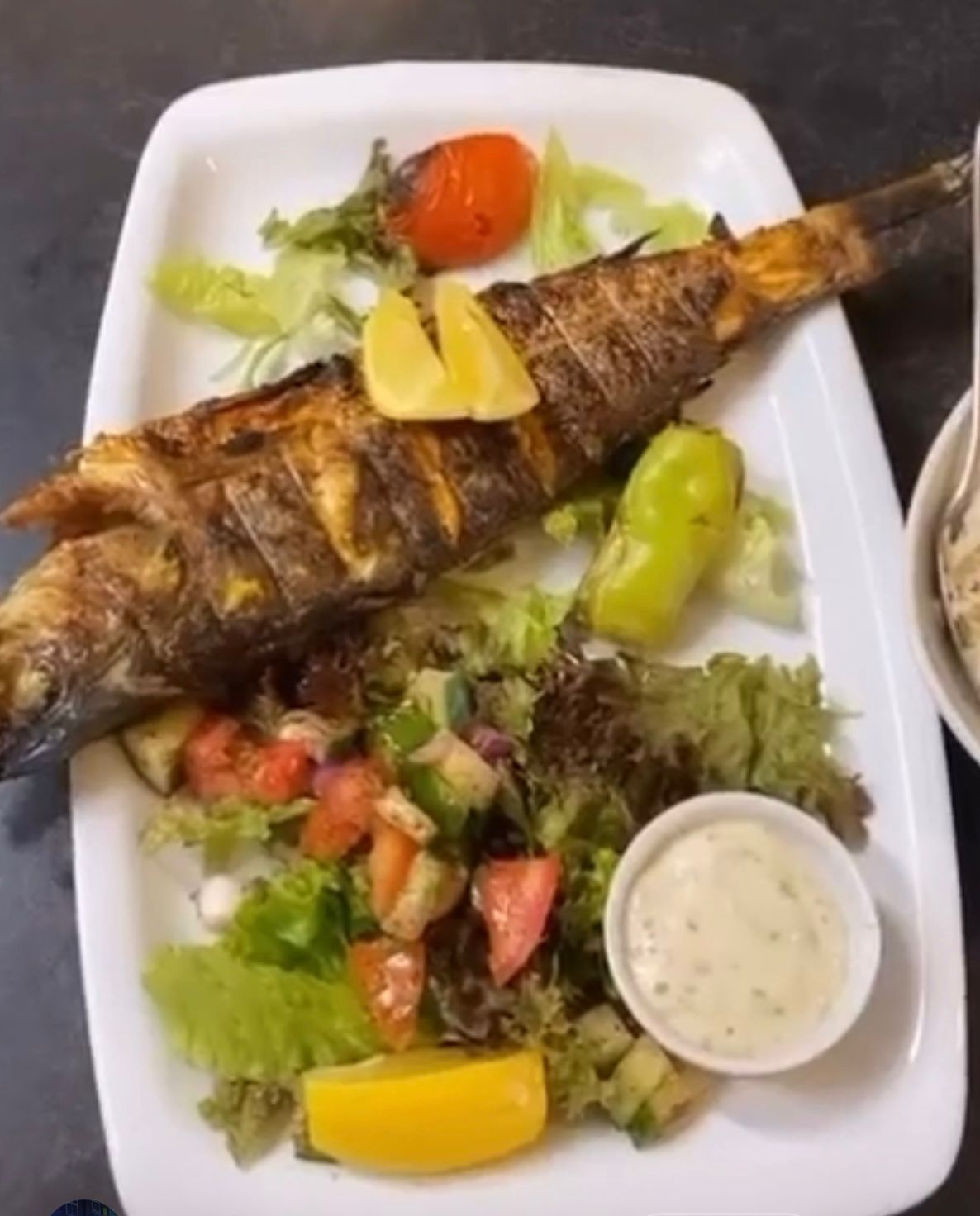 Whole grilled fish served with fresh salad, lemon and yoghurt sauce